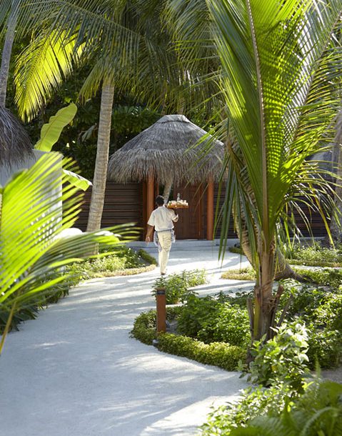 Beach Villa photo 11